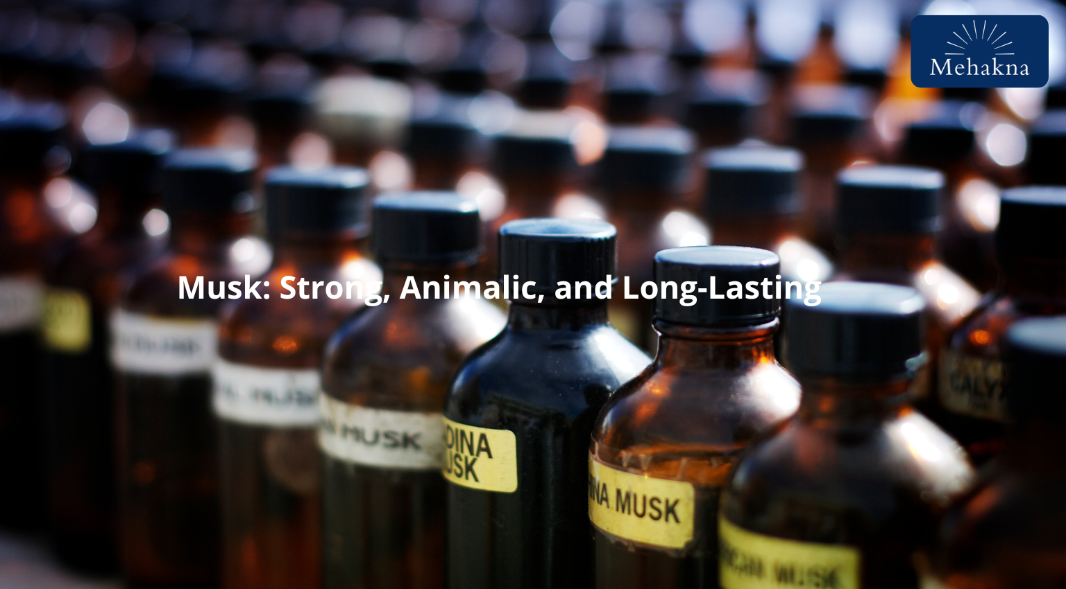 Musk_ Strong, Animalic, and Long-Lasting