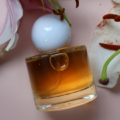 Perfume Maceration Process | Time | Temperature: Complete Guide