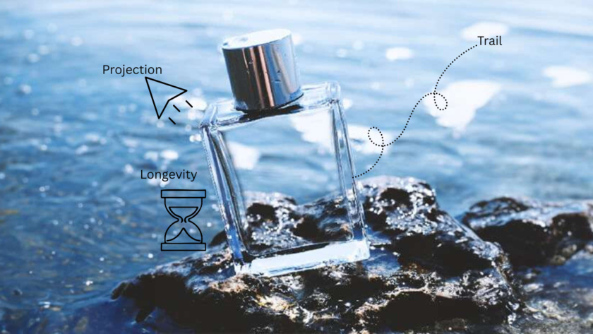 Difference between Perfume Projection vs Trail (Sillage) vs Longevity (1)
