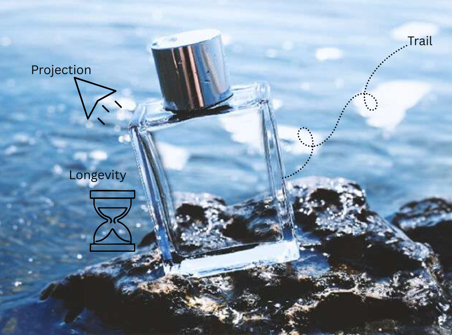 Difference between Perfume Projection vs Trail (Sillage) vs Longevity (1)