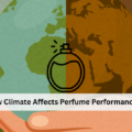 How Climate Affects Perfume Performance in India